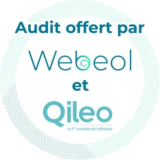 Audit site web offert